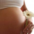 Grossesse : vos alliés forme et santé !