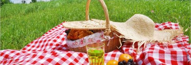 Pique-nique avec mon bébé : comment bien le préparer ?