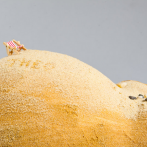 La plage pour le petit Theo